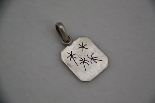 Sterling Silver Pendent PN03100751